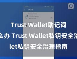 Trust Wallet助记词忘了怎么办 Trust Wallet私钥安全治理指南